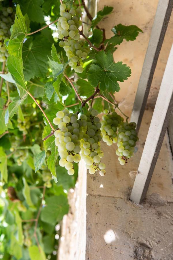 La Ferme De Planchevienne Bed & Breakfast Magny-Cours Dış mekan fotoğraf